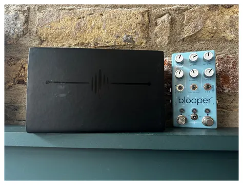 Chase Bliss Audio Blooper Bottomless Looper