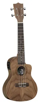 Tanglewood Tiare T13
