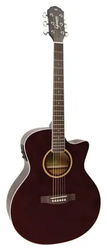 Giannini Aço Eletroacustico Folk Cutaway GSF3 Ceq Tdw