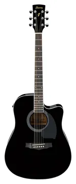 Ibanez PF15ECE-BK