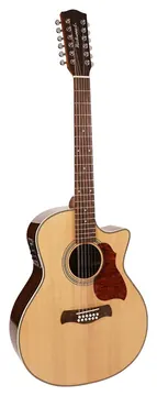 Richwood Master Series G-6512-CEVA handmade grand auditorium12-string guitar