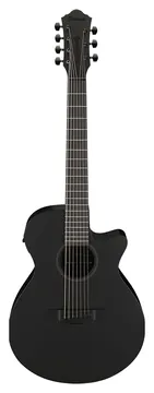 Ibanez AEG721 - 7 String Electro-Acoustic - Black Out