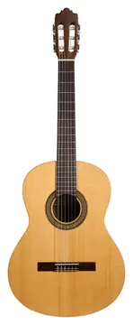 Altamira N100S