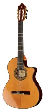 Alhambra 9P CW E8 w/Case