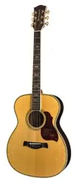 Richwood Master Series Handmade Auditorium OOO Guitar, A-70-EVA