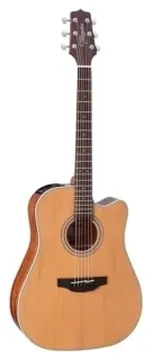 Takamine GD20CE NS Fosco