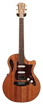 Cole Clark TL2EC Thinline Blackwood HSS Rosewood Fingerboard #2606-11862