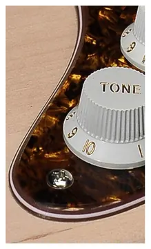 Boston ST-444-TBP pickguard