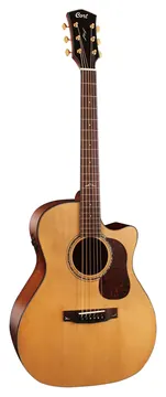 Cort Gold A6 Natural Gloss