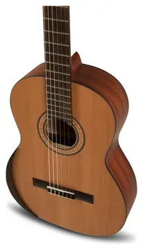Manuel Rodriguez T65 4/4 Tradicion Series Classical Guitar (501095)
