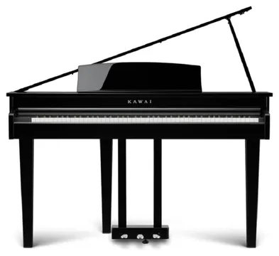 Kawai DG-30 Digitale Vleugel