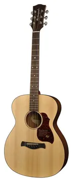 Richwood Master Series A-20 handmade auditorium OOO guitar