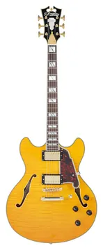 D'Angelico Excel DC Vintage Natur