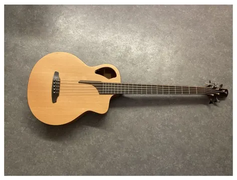 Furch Basse Acoustique 5 Cordes BC61 CM5 + Housse