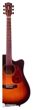Waldman DCEX-341 Eletroacústico Cordas Aço Cor Sunburst (SB)