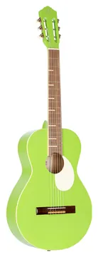 Ortega RGA-GAP Gaucho Series Konzertgitarre 4/4 inkl. Gigbag, green apple