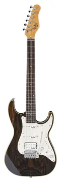 Michael Kelly 1965CC Guitare Electrique Stripped Ebony