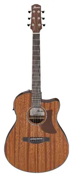 Ibanez AAM54CEOPN Open Pore Natural Chitarra Acustica