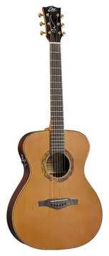 Eko WOW A800E CR LTD (Cedar/Rosewood) CHITARRA ACUSTICA ELETTRIFICATA