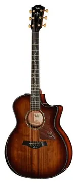 Taylor PS14ce Figured Urban Ironback
