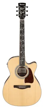 Ibanez AC390CE-NT