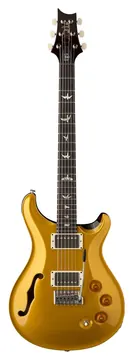 PRS DGT SH Gold Top Vögel