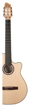 Godin Arena Flame Maple CW Eq