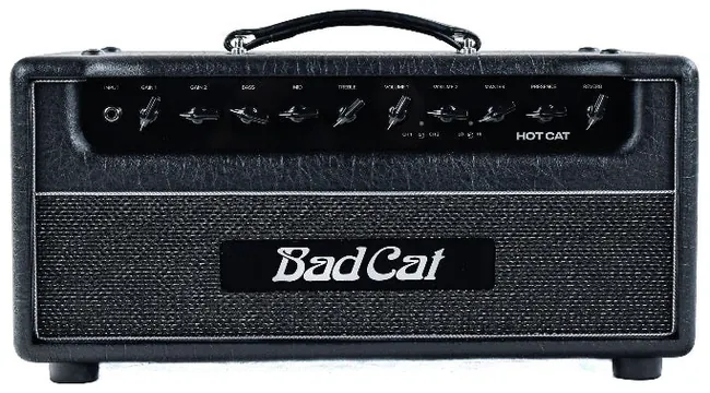 Bad cat Hot Cat Head