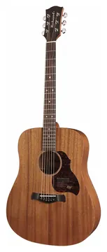 Richwood D50 Westerngitaar Dreadnought Gitaar