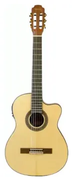 Benson GC100ce Nylon Cutaway