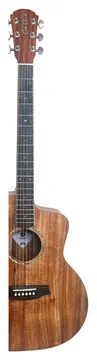Cole Clark Studio GA All Blackwood