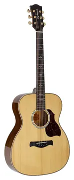 Richwood Artist Series RA-27 auditorium guitar