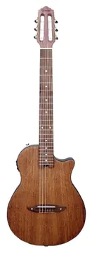 Flat Cutaway Giannini Stage STN SUC