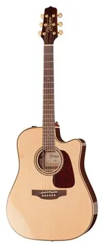 Takamine P5DC w/Softcase