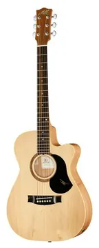 Maton The Performer