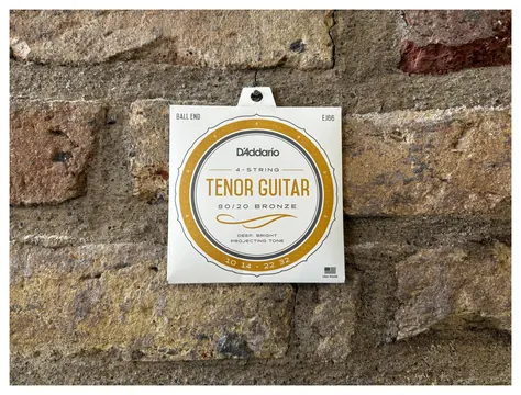 D'Addario EJ66 4-String Tenor Guitar 80/20 Bronze 10-32's