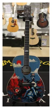 Alvarez AF60GD Sunshine