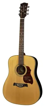 Richwood D65VA Western Gitaar