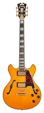 D'Angelico Excel Mini DC Vintage Natural