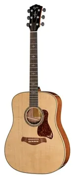 Taylor Gold Label 810e