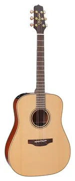 Takamine P3D Dreadnought Pro 3 Series