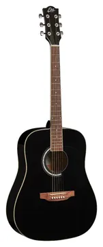 EKO Ranger 6 Black