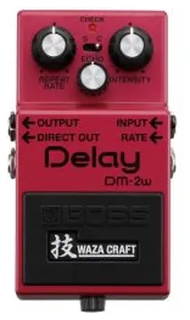 Boss DM-2W Analog Delay