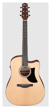 Ibanez AAD50CELG
