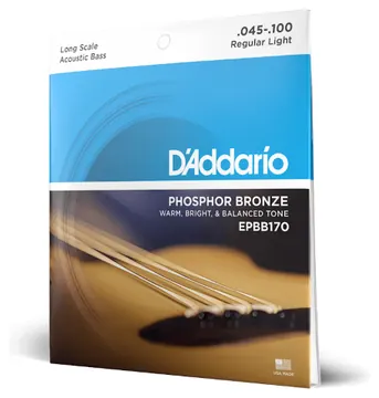 D'Addario EPBB170 für Akustik-Bass