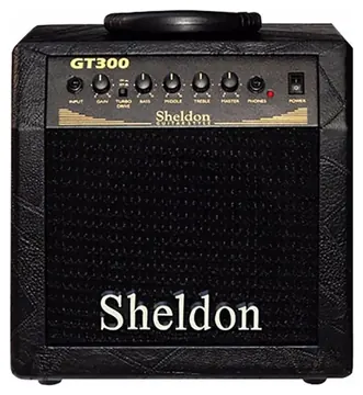 Cubo Para Guitarra Sheldon GT300 30w Para Cor Preto