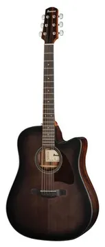 Ibanez AAD70CE-TBN