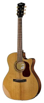 Cort Gold A6