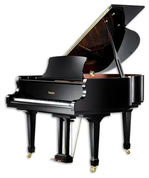 Piano de Cauda Ritmüller RS160 Superior Line Grand 3 Pedais Preto Polido