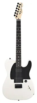 Fender Jim Root Telecaster White